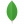 MongoDB, Inc. Logo