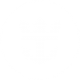 Royal Caribbean Cruises Ltd. Logo