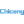 Chicony Electronics Co., Ltd. Logo