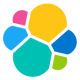 Elastic N.V. Logo