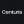 Centuria Capital Group Logo
