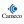 Cameco Corporation Logo